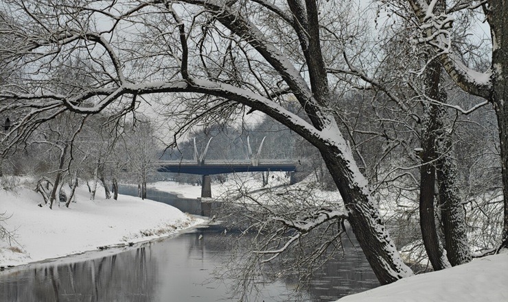 Auksti, bet skaisti - ziemas valdzinājums Valmieras novadā 384858