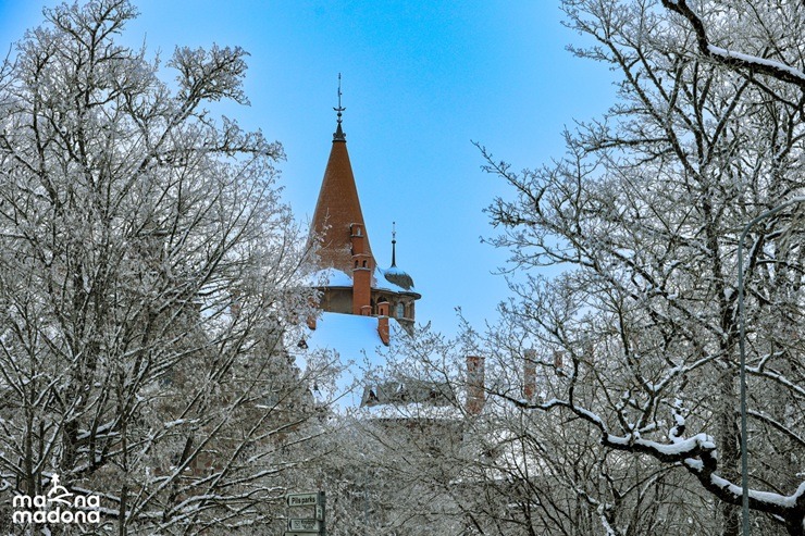 Madonas novada Cesvaine pievilcīga ziemā 385015