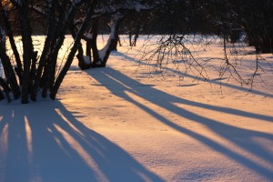 38