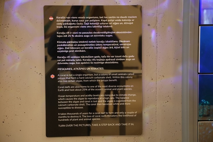 Rīgas Nacionālajā zooloģiskajā dārzā notiek kuprvaļa skeleta ekspozīcijas atklāšana 386618