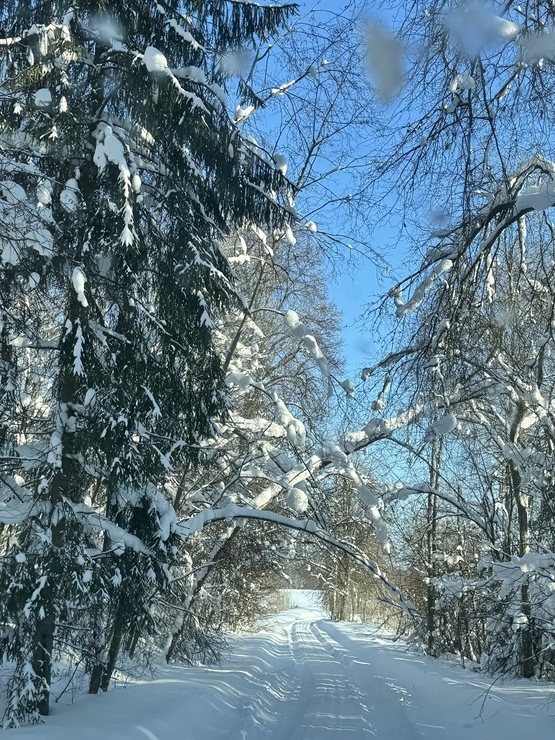 Kā dzīvo latgalieši Dagdā, kur šobrīd dziļākais sniegs Latvijā? - Krāslavas novads. Foto: Sintija Maļkeviča 386686