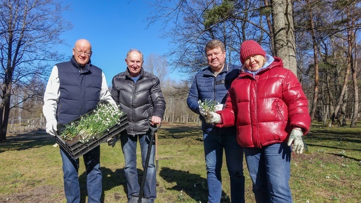Jūrmalas parkā jau divpadsmito gadu pēc kārtas: Sniegpulkstenīšu stādīšanas talka 388818