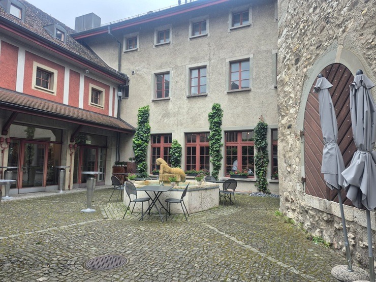 Reinas ūdenskritums Šveicē pārsteidz ar savu varenību 391826