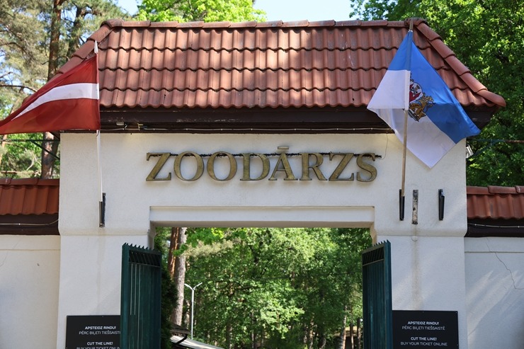Rīga ZOO uzsāk «Himalaju» ekspozīcijas būvniecību, netraucējot apmeklētāju plūsmai un dzīvniekiem 393308