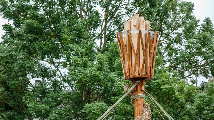 Saulgriežu elpa pilsētvidē – Ventspils Jāņu rotās 394641