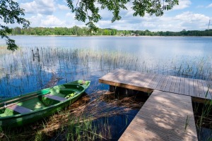 Van Gogs Vidzemes tirgū – 360° iesaistoša mākslas pieredze, skatāma tikai līdz jūlija beigām - Foto