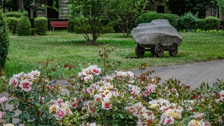 Ventspils vasaras paletē - piejūras pilsētu krāšņo skaisti ziedi 395392