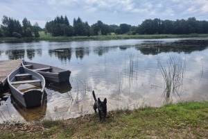 Travelnews un ķepainis Šeidins atpūšas no ikdienas «Glamping Tērvete» - Foto