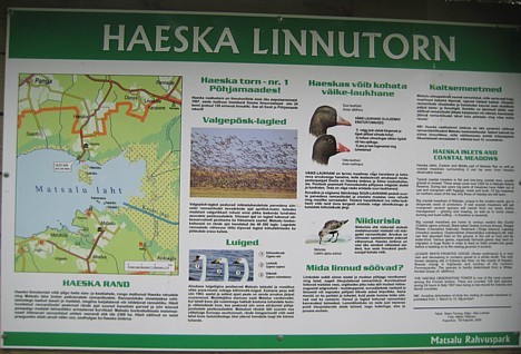 Matsalu nacionālais parks Igaunijā tika izveidots 1957.gadā ar mērķi aizsargāt ligzdojošos putnus un pārlidojošos putnus, kā arī apdraudētās sugas Matsalu nacionālais parks Igaunijā tika izveidots 1957.gadā ar mērķi aizsargāt ligzdojošos putnus un pārlidojošos putnus, kā arī apdraudētās sugas 26825