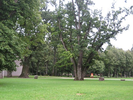 Muzeja parks ar veciem kokiem un brīvdabas ekspozīciju. Muzeja parks ir ne tikai vietējo iedzīvotāju iemīļota vieta, bet arī iecienīta tūristu apskate Muzeja parks ar veciem kokiem un brīvdabas ekspozīciju. Muzeja parks ir ne tikai vietējo iedzīvotāju iemīļota vieta, bet arī iecienīta tūristu apskate 27365