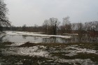 Pali Driksā 26
