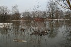 Pali Driksā atkāpjas no Jāņa Čakstes bulvāra 27