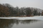 Pali Driksā atkāpjas no Jāņa Čakstes bulvāra 28