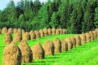 Uz Somiju jādodas vasaras atvaļinājumā