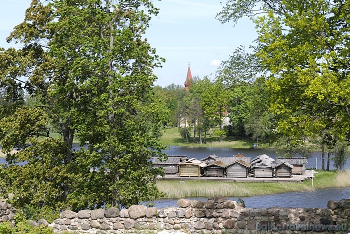 24.07.2010 ikviens aicināts uz Āraišu arheoloģisko muzejparku, kur notiks plašai sabiedrībai domāti Āraišu svētki 46753
