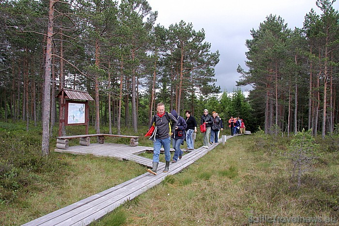 Somā (Soomaa) nacionālais parks ar Ingatsi taku atrodas Igaunijā, Viljandi apgabalā, Sandra ciemata tuvumā Somā (Soomaa) nacionālais parks ar Ingatsi taku atrodas Igaunijā, Viljandi apgabalā, Sandra ciemata tuvumā 47686