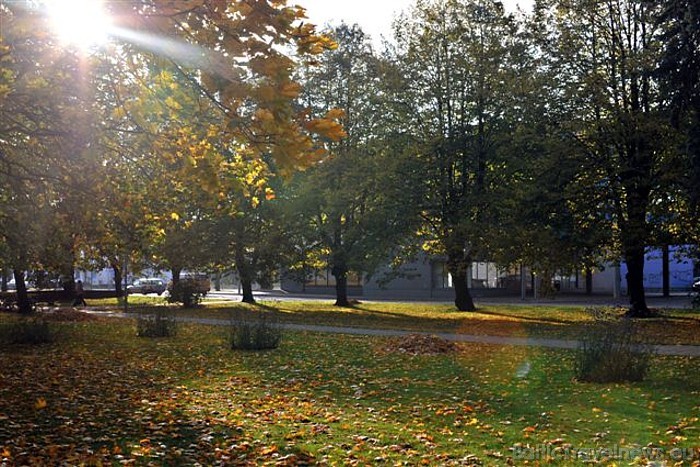 Rudens Ventspils parkos
Foto: Juris Presņikovs 51035