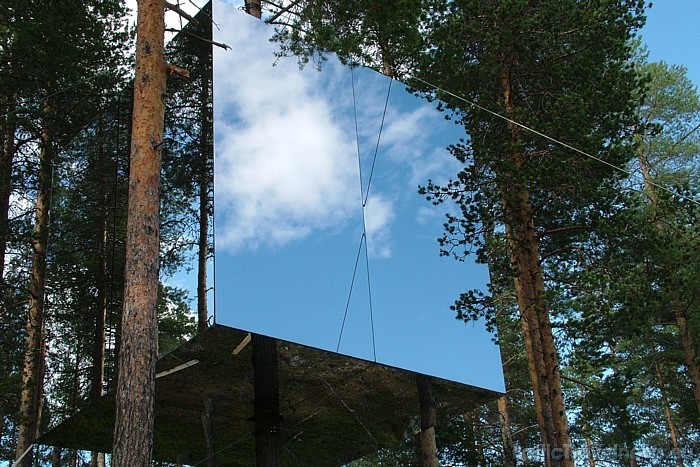 Zviedrijas mežos atrodas viesnīca Treehotel, kuras viesiem ir iespēja pārnakšņot kokos uzbūvētos numuros
Foto: © Treehotel 51160