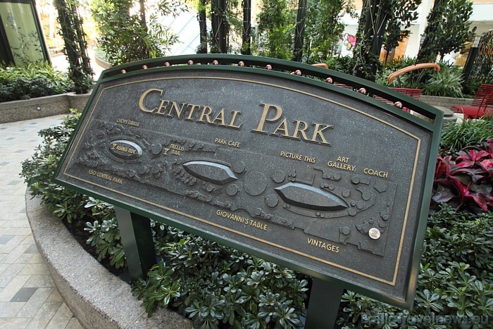 Viena no zonām ir parks, kas iekārtots uz mata kā Centrālparks, vai AquaTheater teātris, kur ir vieta 735 skatītājiem
Foto: © Royal Caribbean Interna Viena no zonām ir parks, kas iekārtots uz mata kā Centrālparks, vai AquaTheater teātris, kur ir vieta 735 skatītājiem
Foto: © Royal Caribbean Interna 52539