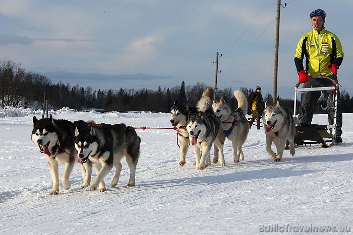 Visbiežāk cilvēki interesējas par iespēju pavizināties haskiju kamanās
Foto: Juris Ķilkuts/www.fotoatelje.lv Visbiežāk cilvēki interesējas par iespēju pavizināties haskiju kamanās
Foto: Juris Ķilkuts/www.fotoatelje.lv 54075