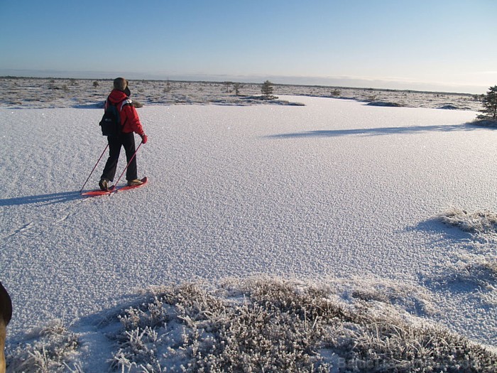 Igaunijas atbildīgās iestādes ļauj sākt lietot ledus ceļu, ja jūras ledus sega ir vismaz 25 centimetru bieza
Foto: Visit Estonia/Aivar Ruukel Igaunijas atbildīgās iestādes ļauj sākt lietot ledus ceļu, ja jūras ledus sega ir vismaz 25 centimetru bieza
Foto: Visit Estonia/Aivar Ruukel 55878