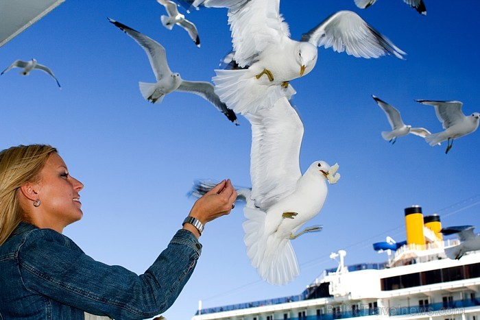 Sasniedzot 4.000 sekotājus Facebook.com/Travelnews.lv profilā, tiks izlozēts ceļojums ar Tallink uz Stokholmu 4 personām. Foto: Tallink 58382