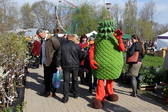 Latvijas Stādu parāde 2011 notika Siguldā, Svētku laukumā pie panorāmas riteņa. Papildus informācija: www.staduparade.lv
Foto: Juris Kilkuts Latvijas Stādu parāde 2011 notika Siguldā, Svētku laukumā pie panorāmas riteņa. Papildus informācija: www.staduparade.lv
Foto: Juris Kilkuts 59006