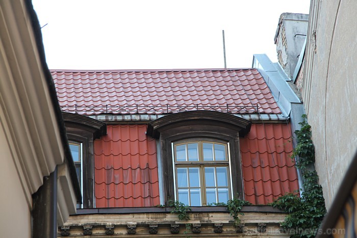 Restorāns, cigāru klubs un bārs Olive Oil Trading Co atrodas Vecrīgā (Jāņa ielā 10) un ir ieguvis daudzas labas atsaucības no gardēžu puses - www.oliv Restorāns, cigāru klubs un bārs Olive Oil Trading Co atrodas Vecrīgā (Jāņa ielā 10) un ir ieguvis daudzas labas atsaucības no gardēžu puses - www.oliv 61167