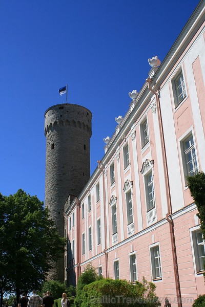 Kopumā, šogad ir plānoti vairāk nekā 250 dažādi projekti un katru mēnesi vismaz viens liels festivāls. Kopumā, šogad ir plānoti vairāk nekā 250 dažādi projekti un katru mēnesi vismaz viens liels festivāls. 61651
