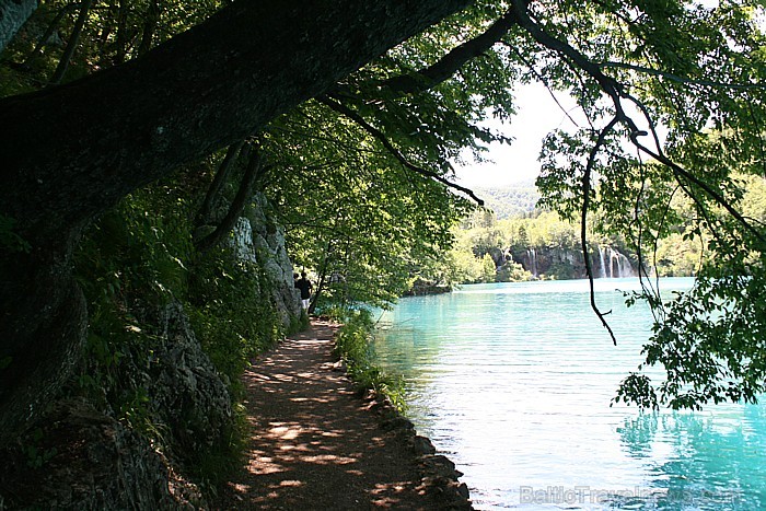 Plitvice ezeru teritorija ir paradīze pastaigu un pārgājienu cienītājiem, kā arī dabas mīļotājiem Plitvice ezeru teritorija ir paradīze pastaigu un pārgājienu cienītājiem, kā arī dabas mīļotājiem 64660