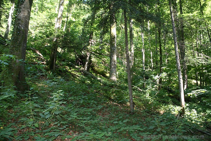 Nacionālais parks «Plitvices ezeri» ir viens no astoņiem lielākajiem Horvātijas nacionālajiem parkiem, un tika izveidots 1949.gadā Nacionālais parks «Plitvices ezeri» ir viens no astoņiem lielākajiem Horvātijas nacionālajiem parkiem, un tika izveidots 1949.gadā 64671