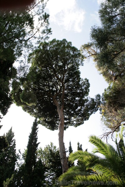 Malagas botāniskais dārzs www.andalucia.org 68828