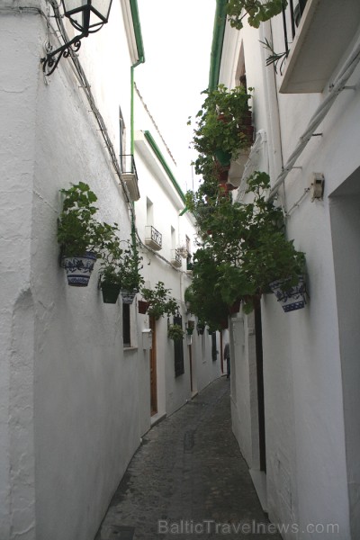 Romantiskākā Priego de Cordoba vieta ir tā vecpilsēta ar šaurām ieliņām, baltām mājām un lielu puķu podu skaitu Romantiskākā Priego de Cordoba vieta ir tā vecpilsēta ar šaurām ieliņām, baltām mājām un lielu puķu podu skaitu 68994