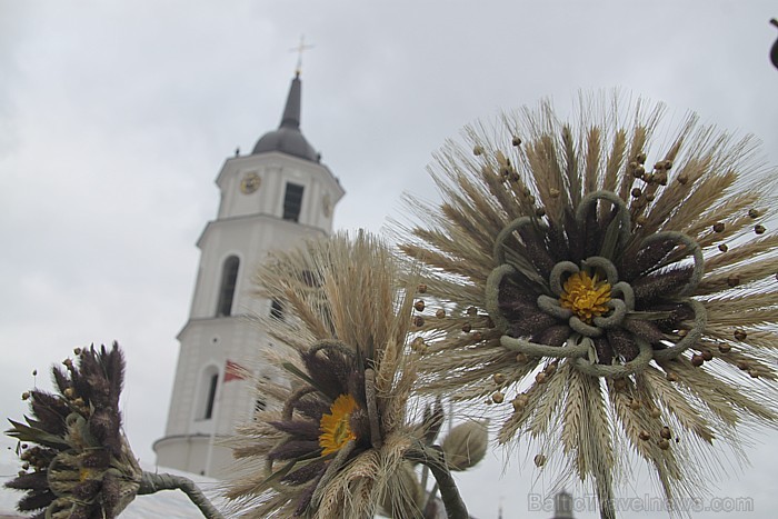 Viļņas amatniecības gadatirgus «Kaziukas 2012» - www.vilnius-tourism.lt 72456