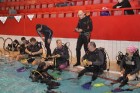 Tūroperators «Alida Tūrs» (www.alida.lv) un daivinga klubs «Jūras vējš» (www.diveriga.lv) aicina iepazīt niršanas pasaules noslēpumus 26