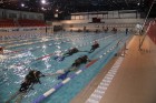 Tūroperators «Alida Tūrs» (www.alida.lv) un daivinga klubs «Jūras vējš» (www.diveriga.lv) aicina iepazīt niršanas pasaules noslēpumus 35