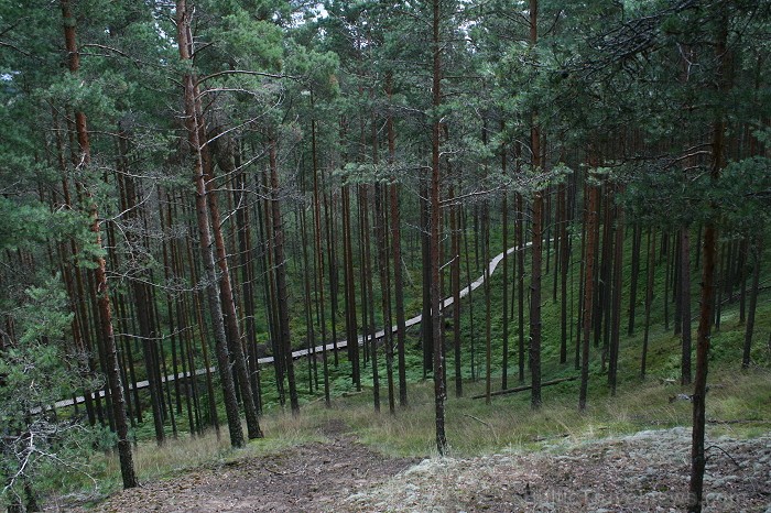 Iepazīsti dabas skaistumu Igaunijas dabas izpētes takā - Rannametsa-Tolkuse. Vairāk www.visitestonia.com Iepazīsti dabas skaistumu Igaunijas dabas izpētes takā - Rannametsa-Tolkuse. Vairāk www.visitestonia.com 80435