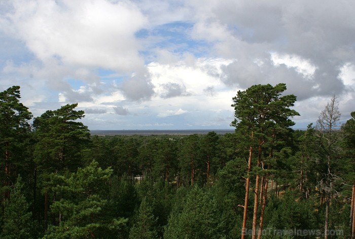 Iepazīsti dabas skaistumu Igaunijas dabas izpētes takā - Rannametsa-Tolkuse. Vairāk www.visitestonia.com Iepazīsti dabas skaistumu Igaunijas dabas izpētes takā - Rannametsa-Tolkuse. Vairāk www.visitestonia.com 80439