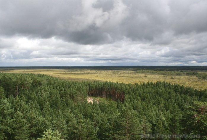 Iepazīsti dabas skaistumu Igaunijas dabas izpētes takā - Rannametsa-Tolkuse. Vairāk www.visitestonia.com Iepazīsti dabas skaistumu Igaunijas dabas izpētes takā - Rannametsa-Tolkuse. Vairāk www.visitestonia.com 80440