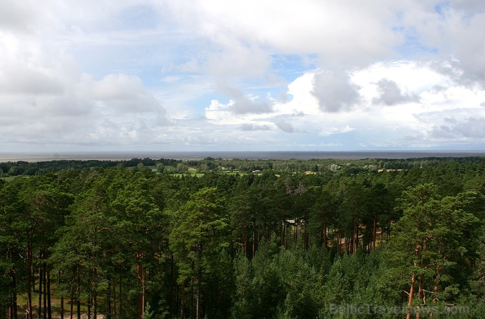 Iepazīsti dabas skaistumu Igaunijas dabas izpētes takā - Rannametsa-Tolkuse. Vairāk www.visitestonia.com Iepazīsti dabas skaistumu Igaunijas dabas izpētes takā - Rannametsa-Tolkuse. Vairāk www.visitestonia.com 80441