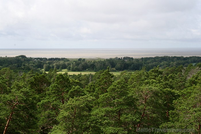 Iepazīsti dabas skaistumu Igaunijas dabas izpētes takā - Rannametsa-Tolkuse. Vairāk www.visitestonia.com Iepazīsti dabas skaistumu Igaunijas dabas izpētes takā - Rannametsa-Tolkuse. Vairāk www.visitestonia.com 80442