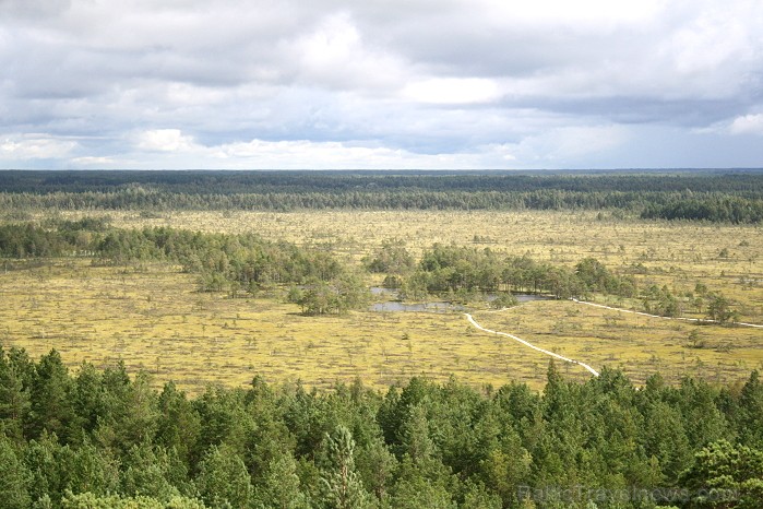 Iepazīsti dabas skaistumu Igaunijas dabas izpētes takā - Rannametsa-Tolkuse. Vairāk www.visitestonia.com Iepazīsti dabas skaistumu Igaunijas dabas izpētes takā - Rannametsa-Tolkuse. Vairāk www.visitestonia.com 80443
