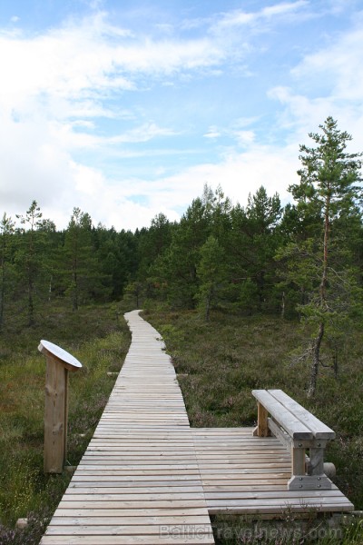 Iepazīsti dabas skaistumu Igaunijas dabas izpētes takā - Rannametsa-Tolkuse. Vairāk www.visitestonia.com Iepazīsti dabas skaistumu Igaunijas dabas izpētes takā - Rannametsa-Tolkuse. Vairāk www.visitestonia.com 80450
