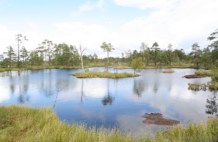 Iepazīsti dabas skaistumu Igaunijas dabas izpētes takā - Rannametsa-Tolkuse. Vairāk www.visitestonia.com Iepazīsti dabas skaistumu Igaunijas dabas izpētes takā - Rannametsa-Tolkuse. Vairāk www.visitestonia.com 80454