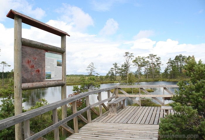 Iepazīsti dabas skaistumu Igaunijas dabas izpētes takā - Rannametsa-Tolkuse. Vairāk www.visitestonia.com Iepazīsti dabas skaistumu Igaunijas dabas izpētes takā - Rannametsa-Tolkuse. Vairāk www.visitestonia.com 80456