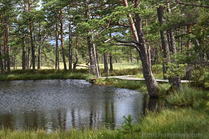 Iepazīsti dabas skaistumu Igaunijas dabas izpētes takā - Rannametsa-Tolkuse. Vairāk www.visitestonia.com Iepazīsti dabas skaistumu Igaunijas dabas izpētes takā - Rannametsa-Tolkuse. Vairāk www.visitestonia.com 80457