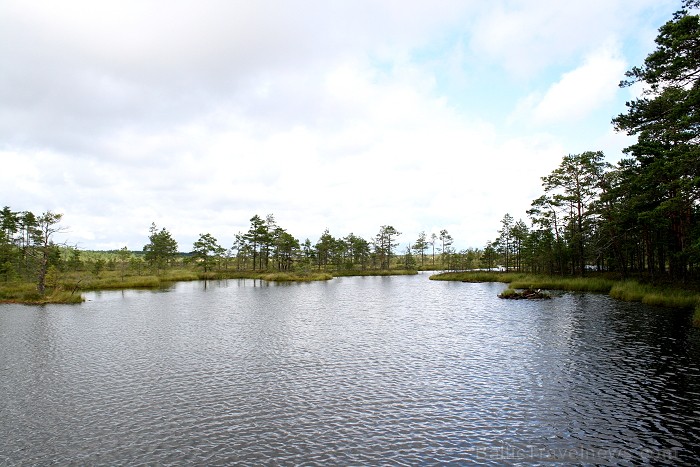 Iepazīsti dabas skaistumu Igaunijas dabas izpētes takā - Rannametsa-Tolkuse. Vairāk www.visitestonia.com Iepazīsti dabas skaistumu Igaunijas dabas izpētes takā - Rannametsa-Tolkuse. Vairāk www.visitestonia.com 80459