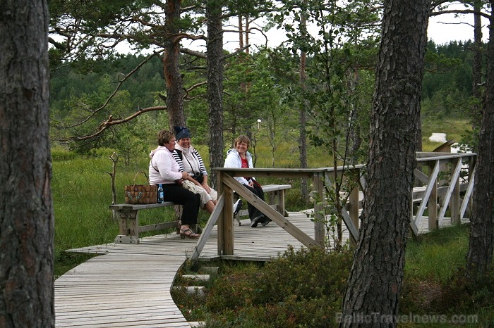 Iepazīsti dabas skaistumu Igaunijas dabas izpētes takā - Rannametsa-Tolkuse. Vairāk www.visitestonia.com Iepazīsti dabas skaistumu Igaunijas dabas izpētes takā - Rannametsa-Tolkuse. Vairāk www.visitestonia.com 80460