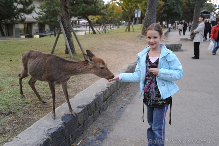 Tūrisma nozare Japānā ir atdzīvojusies, lai atkal tūristiem no visas pasaules ļautu baudīt tās neatkārtojamo kultūru. Foto:  www.traveltime.lv 81816