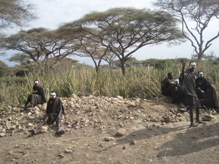Tanzānijas skaistākie Nacionālie parki - Tarangire, Ngorongoro krāteris un Serengeti parks. Dzīvnieku pārbagātība un lielākā gnu un zebru migrācija pa 82227